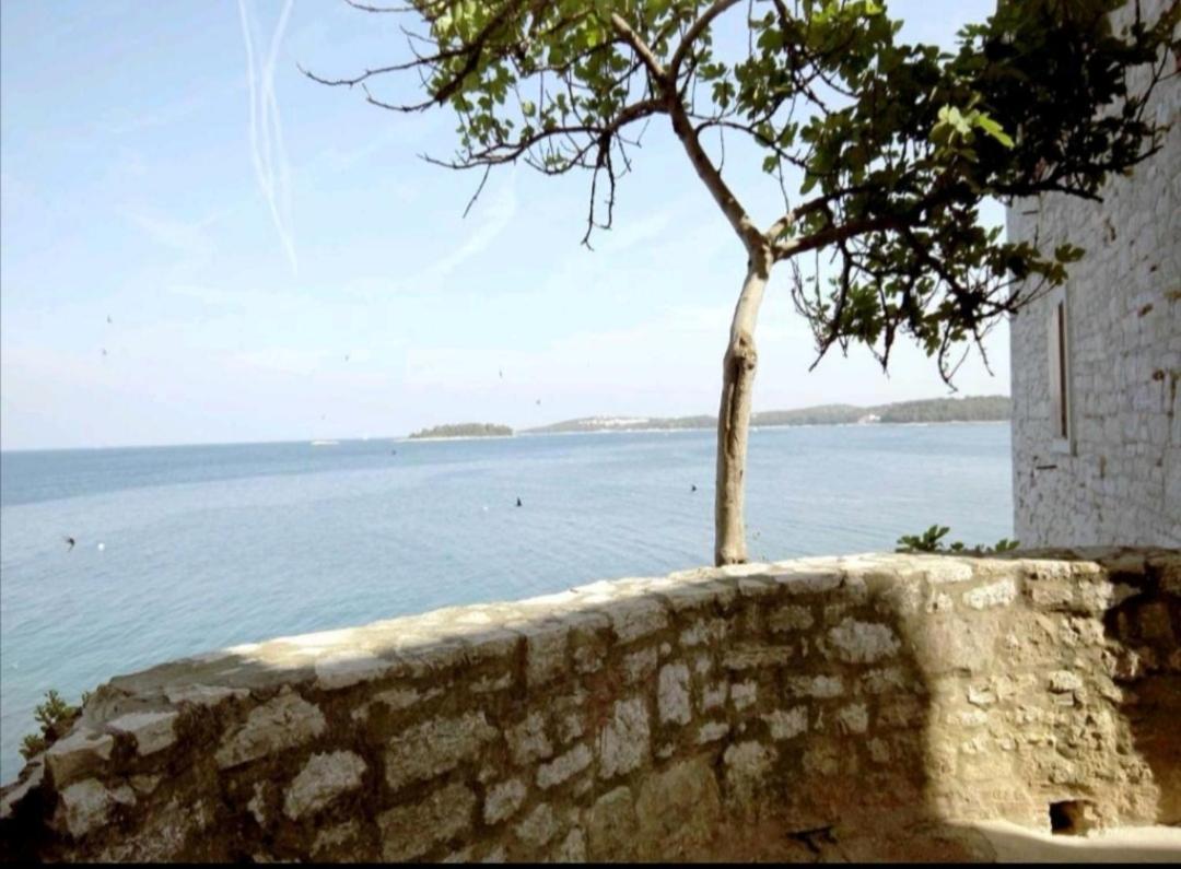 Apartment Martin - 10 Mt To The Beach Rovinj Luaran gambar