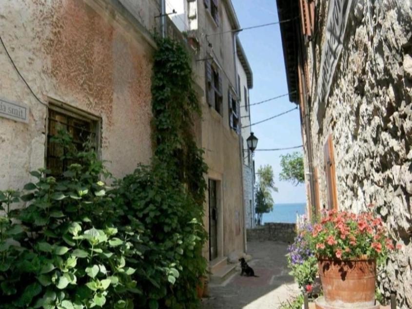 Apartment Martin - 10 Mt To The Beach Rovinj Luaran gambar